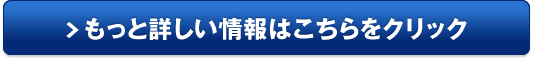ハンティングワールド バッグ販売サイトへ